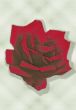 rote rose 8x11,5.jpg